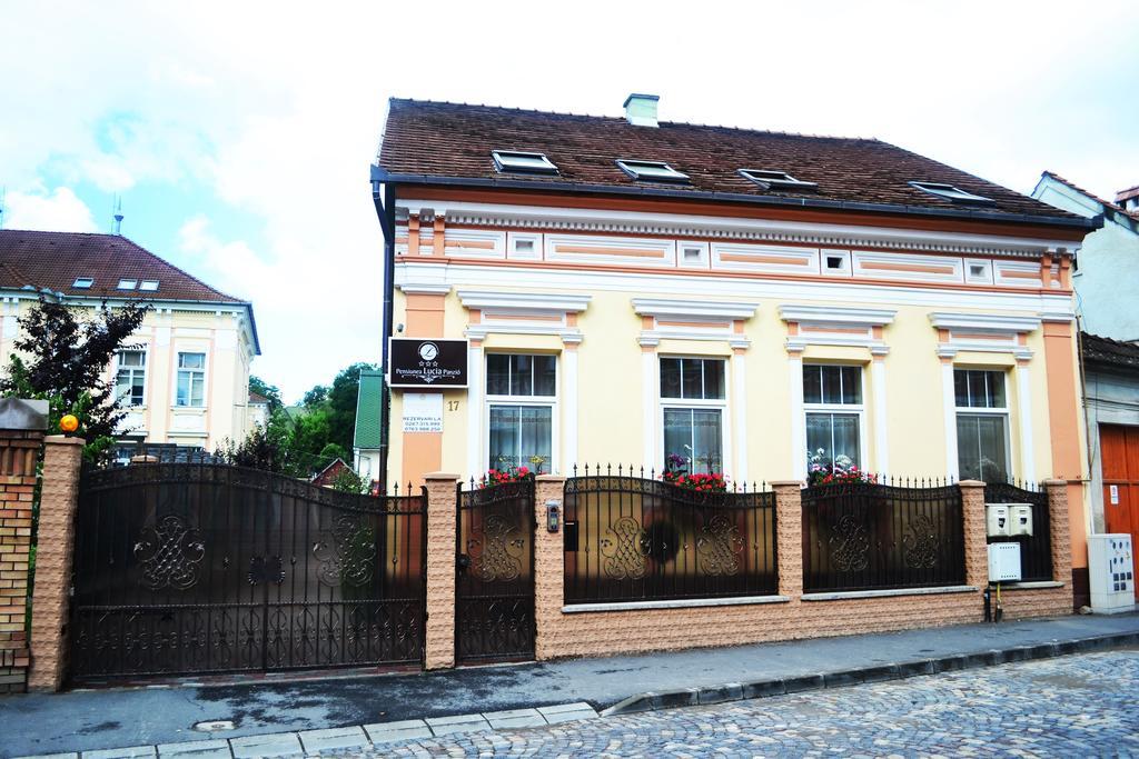 Pensiunea Lucia Sfântu-Gheorghe Esterno foto